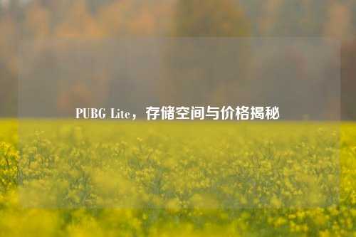 PUBG Lite,存储空间与价格揭秘