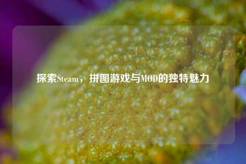 探索Steam,拼图游戏与MOD的独特魅力
