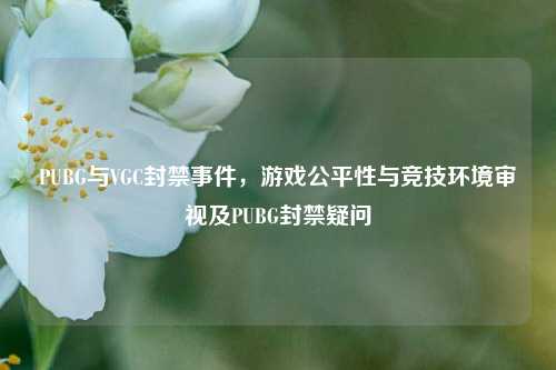 PUBG与VGC封禁事件,游戏公平性与竞技环境审视及PUBG封禁疑问
