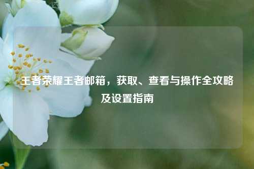 王者荣耀王者邮箱,获取、查看与操作全攻略及设置指南