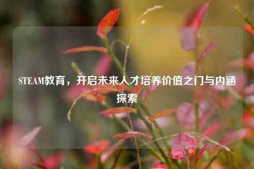 STEAM教育,开启未来人才培养价值之门与内涵探索