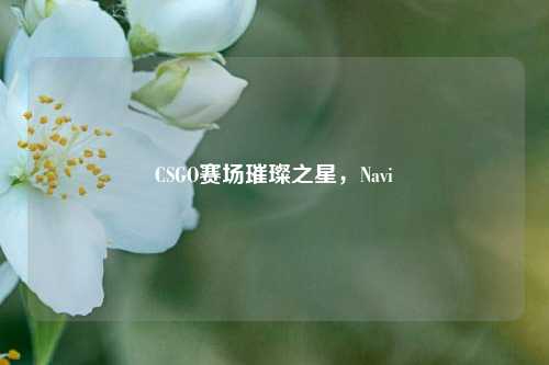 CSGO赛场璀璨之星,Navi