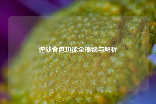 逆战背包功能全揭秘与解析