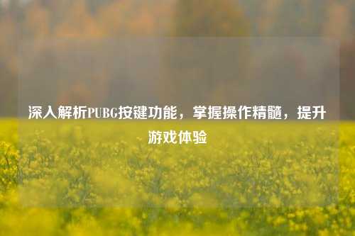 深入解析PUBG按键功能,掌握操作精髓,提升游戏体验