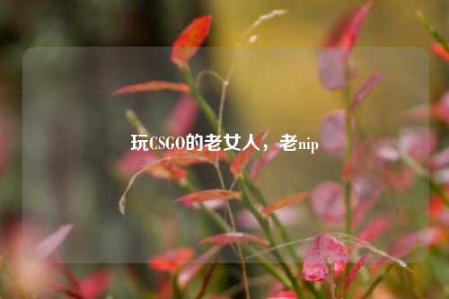 玩CSGO的老女人,老nip