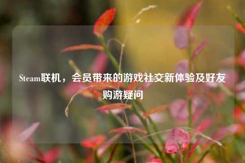 Steam联机,会员带来的游戏社交新体验及好友购游疑问