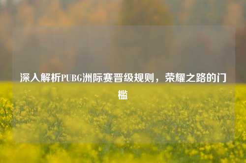 深入解析PUBG洲际赛晋级规则,荣耀之路的门槛