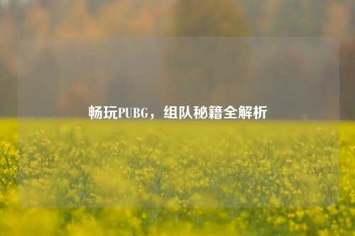 畅玩PUBG,组队秘籍全解析