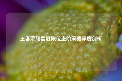 王者荣耀皇冠段位进阶策略深度剖析