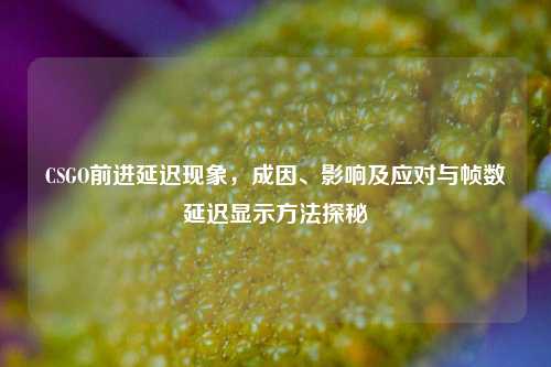 CSGO前进延迟现象,成因、影响及应对与帧数延迟显示 *** 探秘