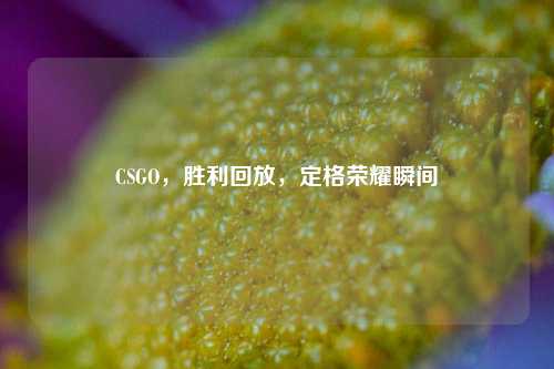 CSGO,胜利回放,定格荣耀瞬间