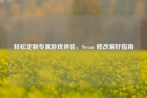 轻松定制专属游戏体验,Steam 修改偏好指南