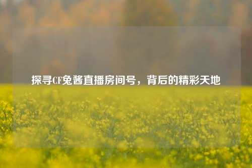 探寻CF兔酱直播房间号,背后的精彩天地