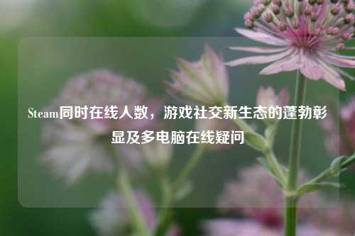 Steam同时在线人数,游戏社交新生态的蓬勃彰显及多电脑在线疑问