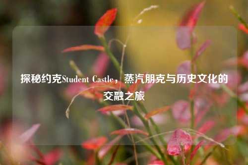 探秘约克Student Castle,蒸汽朋克与历史文化的交融之旅