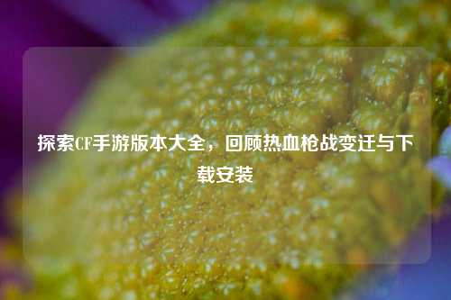 探索CF手游版本大全,回顾热血枪战变迁与下载安装