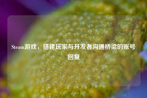 Steam游戏,搭建玩家与开发者沟通桥梁的账号回复
