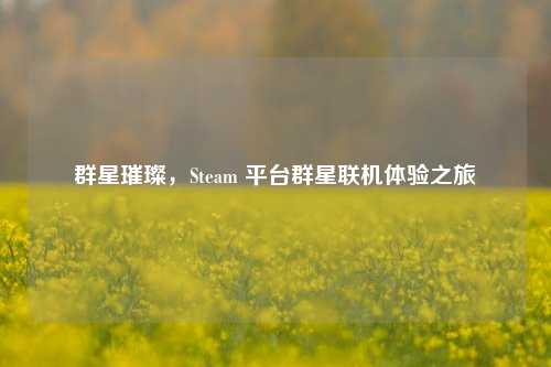 群星璀璨,Steam 平台群星联机体验之旅