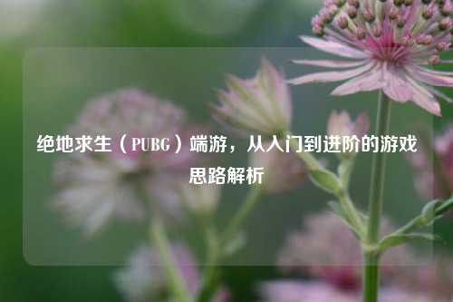 绝地求生(PUBG)端游,从入门到进阶的游戏思路解析