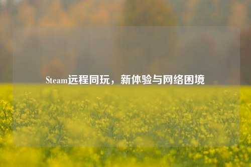 Steam远程同玩,新体验与 *** 困境