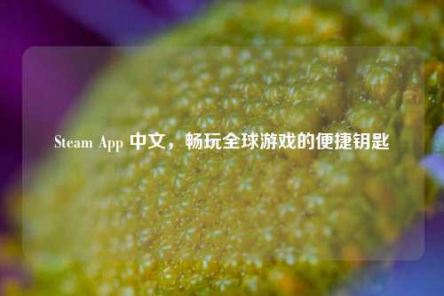 Steam App 中文,畅玩全球游戏的便捷钥匙