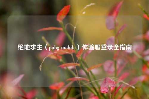 绝地求生(pubg mobile)体验服登录全指南