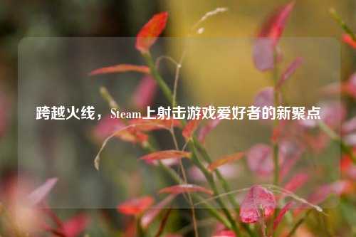 跨越火线,Steam上射击游戏爱好者的新聚点