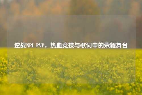 逆战NPL PVP,热血竞技与歌词中的荣耀舞台