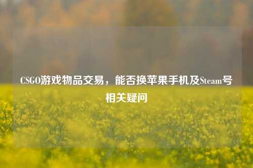CSGO游戏物品交易,能否换苹果手机及Steam号相关疑问