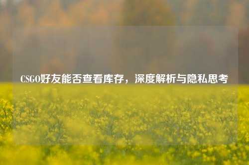 CSGO好友能否查看库存,深度解析与隐私思考