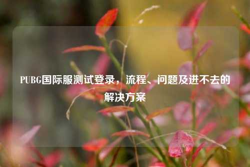 PUBG国际服测试登录，流程、问题及进不去的解决方案