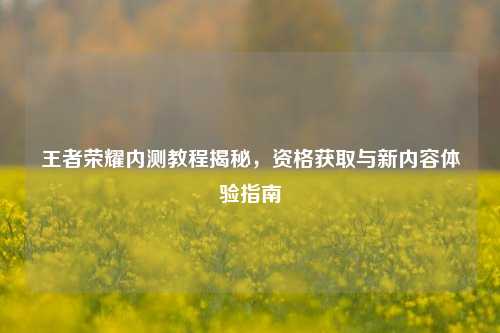 王者荣耀内测教程揭秘,资格获取与新内容体验指南