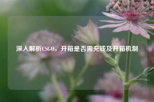 深入解析CSGO,开箱是否需充钱及开箱机制