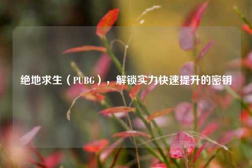 绝地求生(PUBG),解锁实力快速提升的密钥