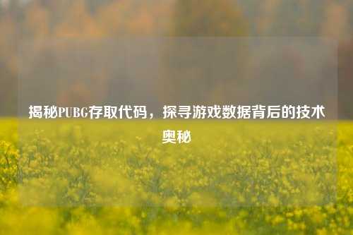 揭秘PUBG存取代码,探寻游戏数据背后的技术奥秘