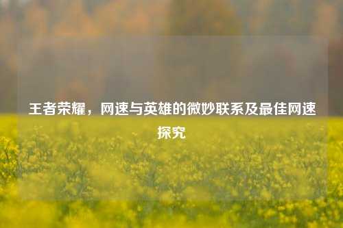 王者荣耀,网速与英雄的微妙联系及更佳网速探究