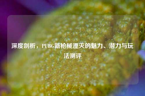 深度剖析,PUBG新枪械湮灭的魅力、潜力与玩法测评