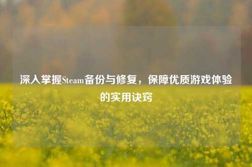 深入掌握Steam备份与修复,保障优质游戏体验的实用诀窍