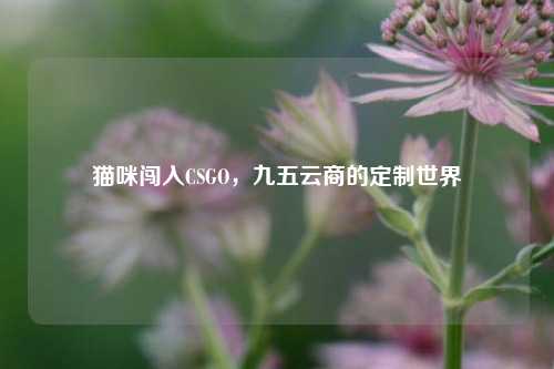 猫咪闯入CSGO,九五云商的定制世界