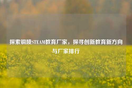探索铜陵STEAM教育厂家,探寻创新教育新方向与厂家排行