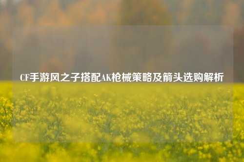 CF手游风之子搭配AK枪械策略及箭头选购解析