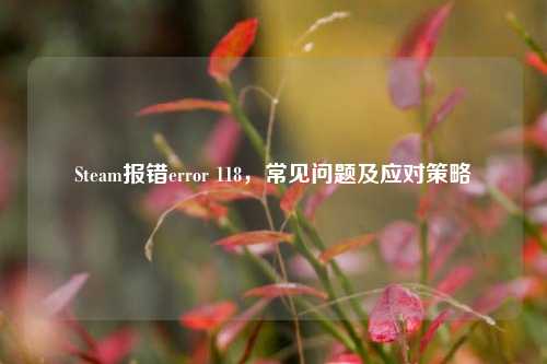 Steam报错error 118,常见问题及应对策略