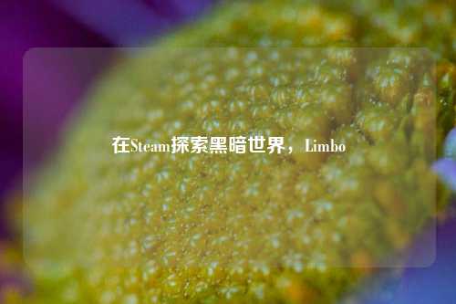 在Steam探索黑暗世界,Limbo