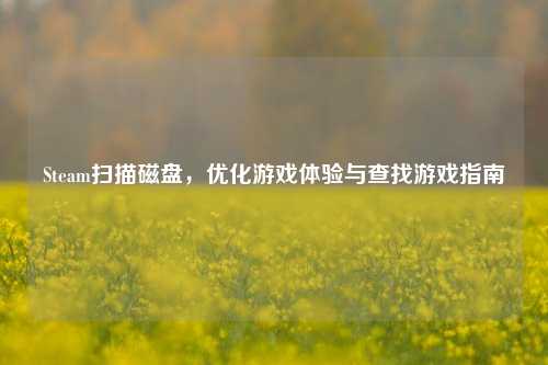 Steam扫描磁盘,优化游戏体验与查找游戏指南