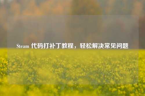 Steam 代码打补丁教程,轻松解决常见问题