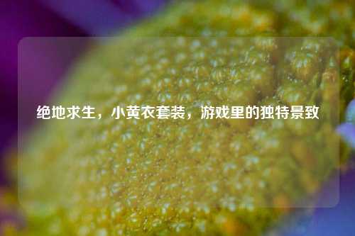 绝地求生,小黄衣套装,游戏里的独特景致