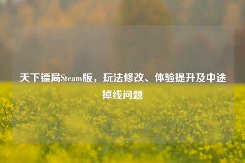 天下镖局Steam版,玩法修改、体验提升及中途掉线问题
