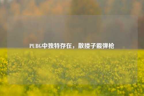 PUBG中独特存在,散搂子霰弹枪