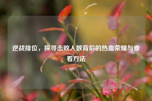 逆战排位,探寻击败人数背后的热血荣耀与查看 ***
