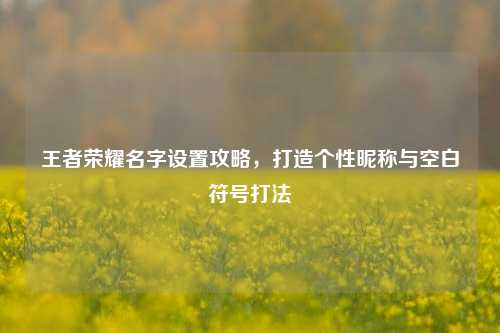 王者荣耀名字设置攻略,打造个性昵称与空白符号打法